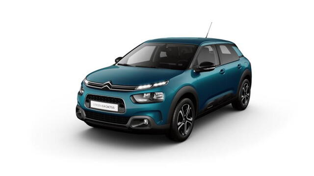 C4 Cactus
